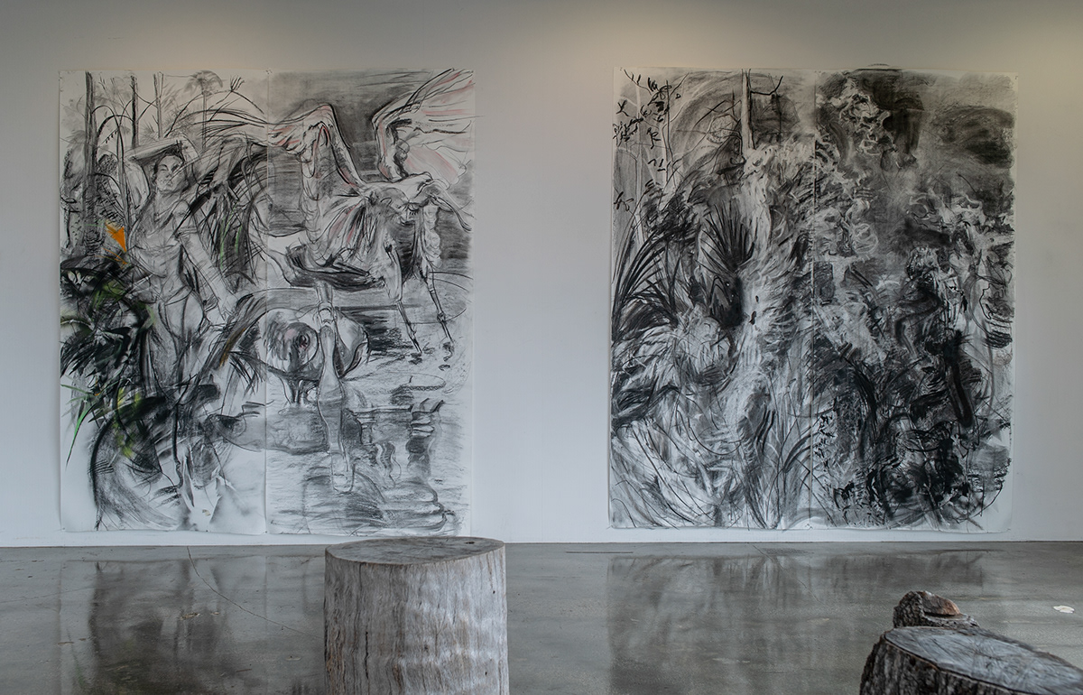 Large-scale charcoal drawings of Rachel Gray's artwork in her exhibition Connection and Alliances in the Nest Gallery.