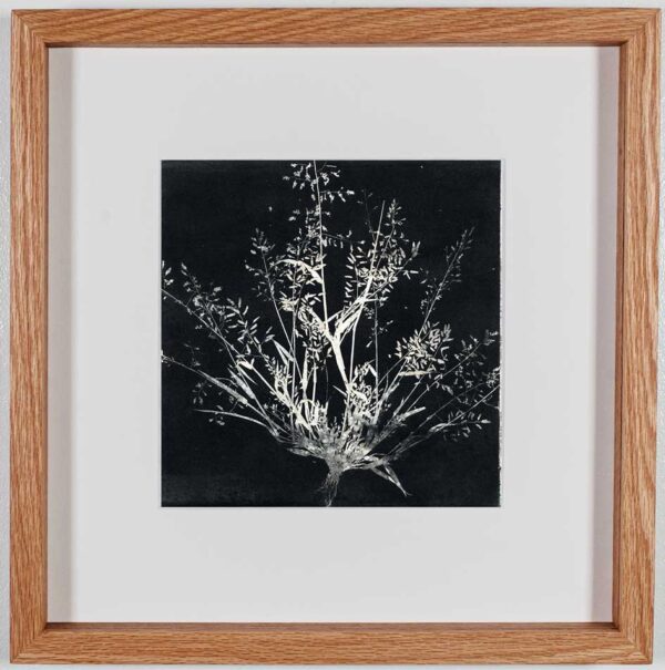 stem root flower redoak8x8white mat - Rachel Gray - Visual Artist