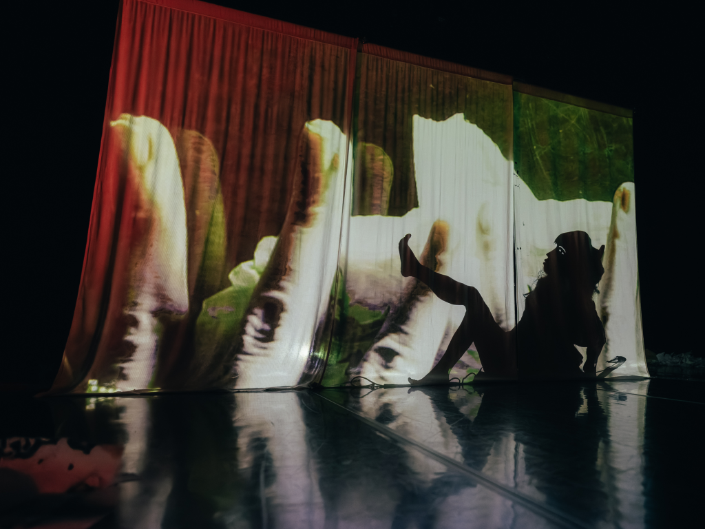 11 - Rachel Gray - Interdisciplinary Artist