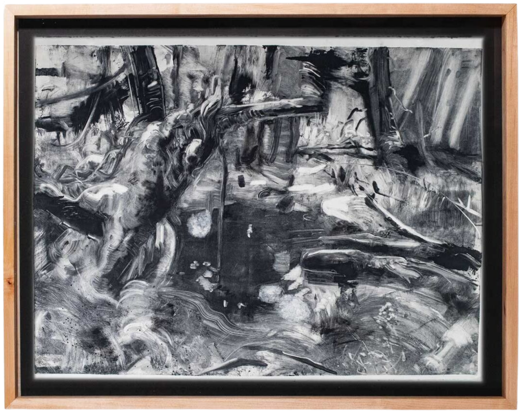 2 3 - Rachel Gray - Interdisciplinary Artist