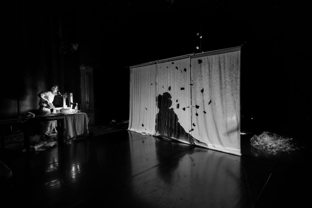 20250925 DSC8200 - Rachel Gray - Visual Artist