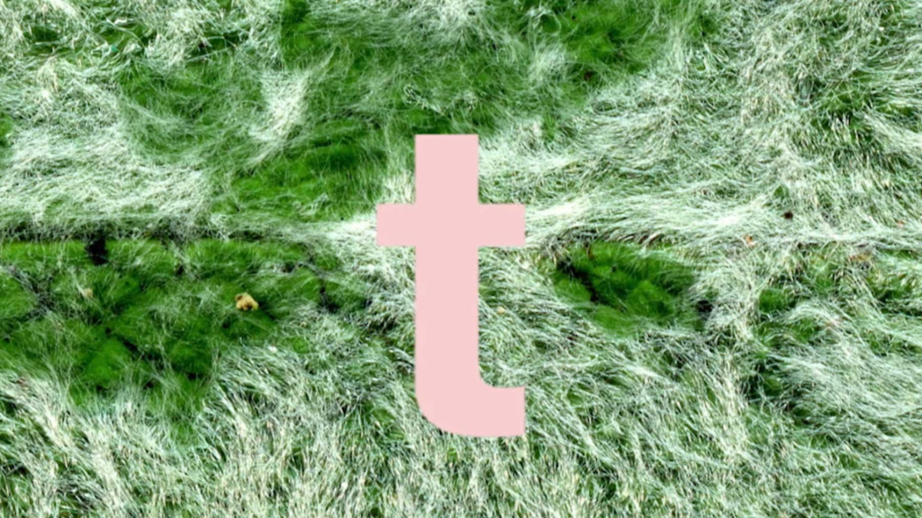 Interchange Cover - Rachel Gray - Visual Artist