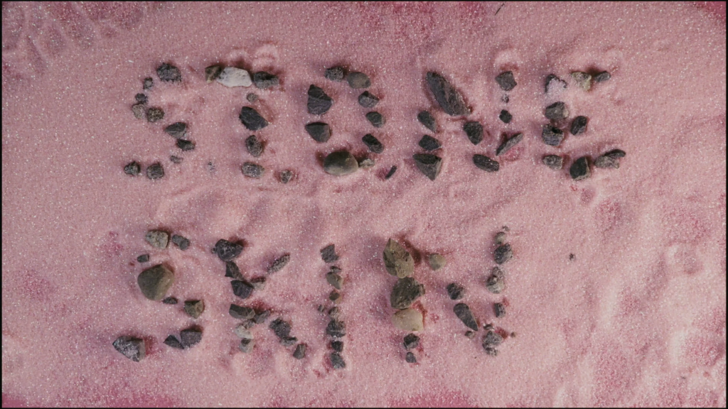 2 - Rachel Gray - Interdisciplinary Artist