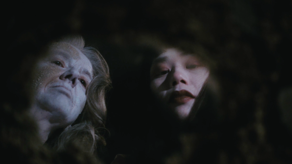 7 - Rachel Gray - Interdisciplinary Artist