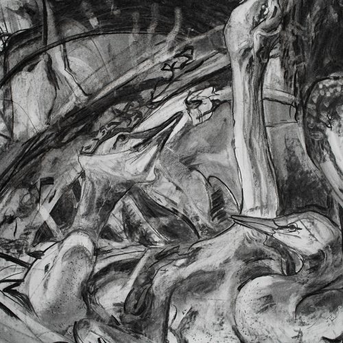 A detail of large-scale charcoal drawing by Rachel Gray featuring Anhinga chicks in their nest in the Everglades.