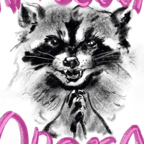 raccoon-opera-poster